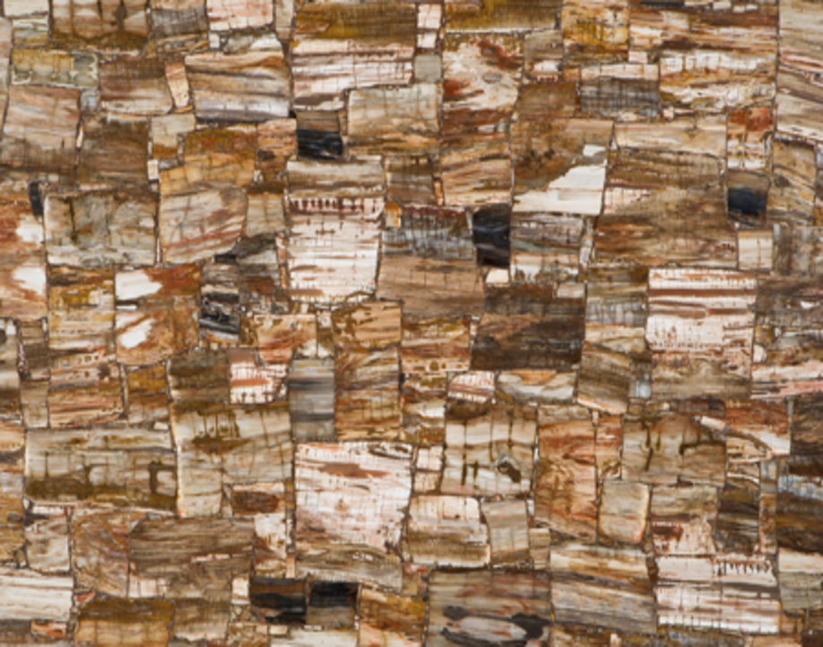 Petrified Wood Retro